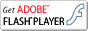 Get Adobe Flash-Player